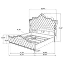 Antonella Beds