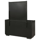Leandro Dresser with Mirror