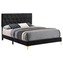 Kendall Upholstered Panel Bed