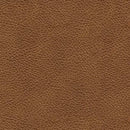 Carianna Ottoman