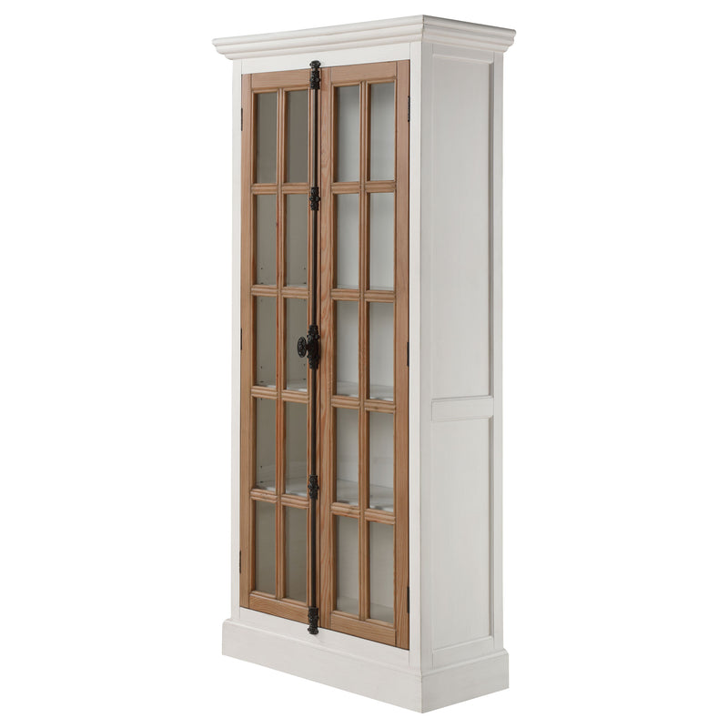 Tammi Accent Cabinet