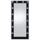 Zayan Floor Mirror with LED Lighting