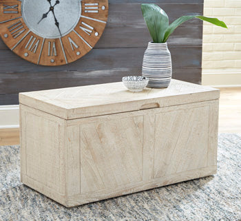 Ryker Storage Trunk