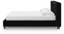 Zuraleus Bed