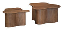 Abeford Accent Coffee Table (Set of 2)