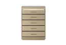 GENESIS GOLD CHEST WITH LED